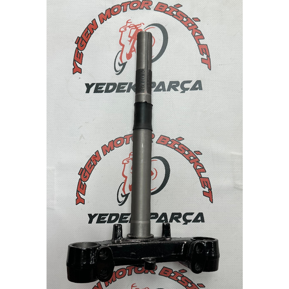 Ön Maşa Spontini 110