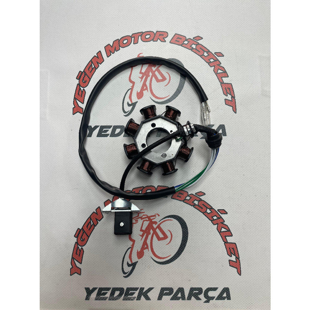 Cg Statör 100 Sport ( 3 Fişli )