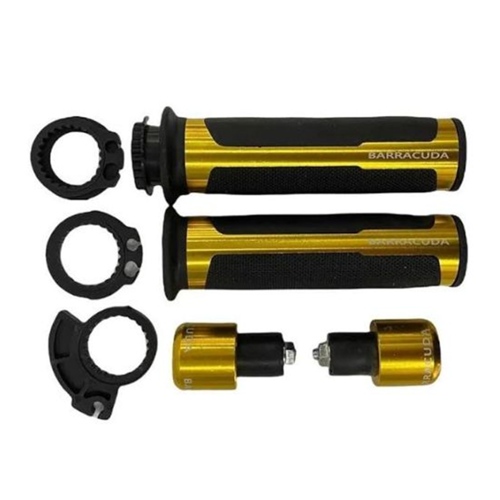 Barracuda Motor Elcek Gold Tk