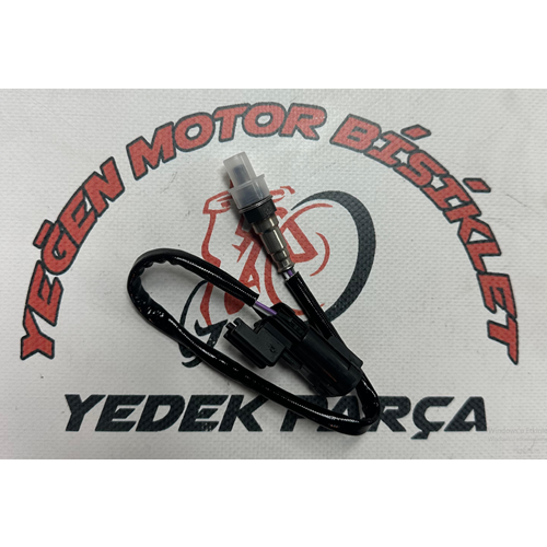 Spontini 110 Oksijen Sensörü Delphı