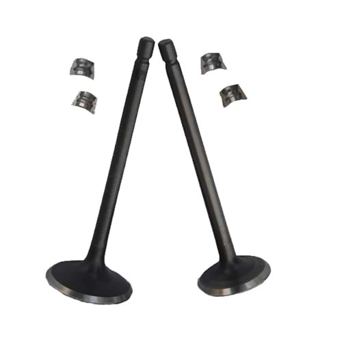 Ybr 125 Subap Takımı